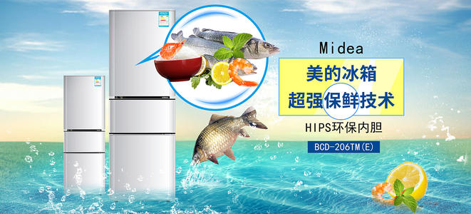 制作假的保健食品生产企业卫生许可证